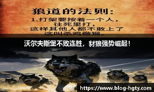 皇冠体育官方网站